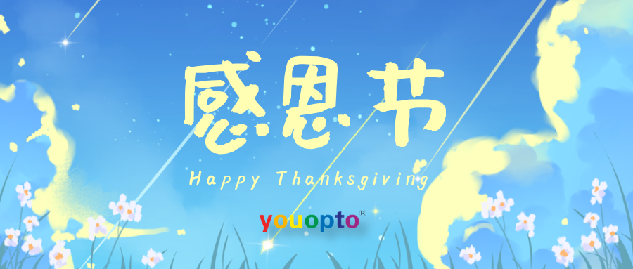 Thanksgiving: Embracing Goodwill Along the Life Journey